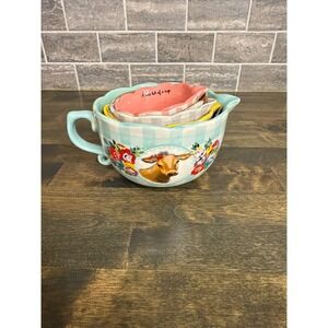 Pioneer Woman Stoneware Nesting Measuring Cup Set 4 Piece Floral Farmhouse NWOT